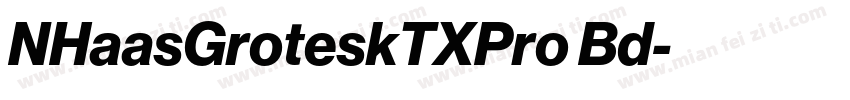 NHaasGroteskTXPro Bd字体转换